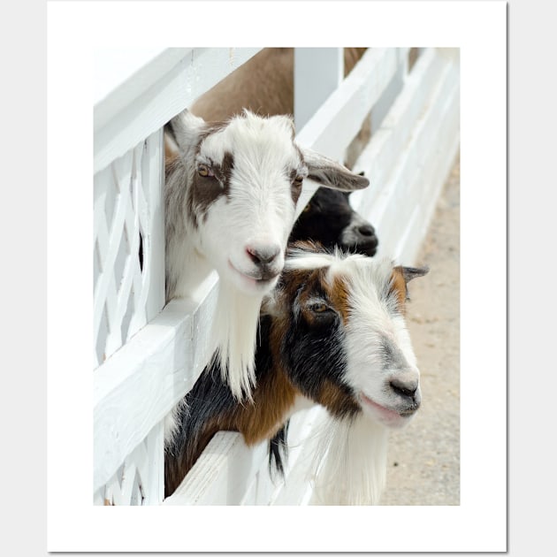Happy friendly goats Wall Art by iyd39